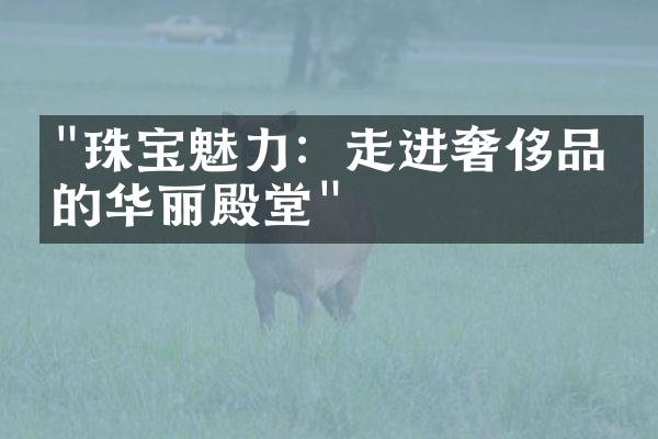 "珠宝魅力：走进奢侈品牌的华丽殿堂"