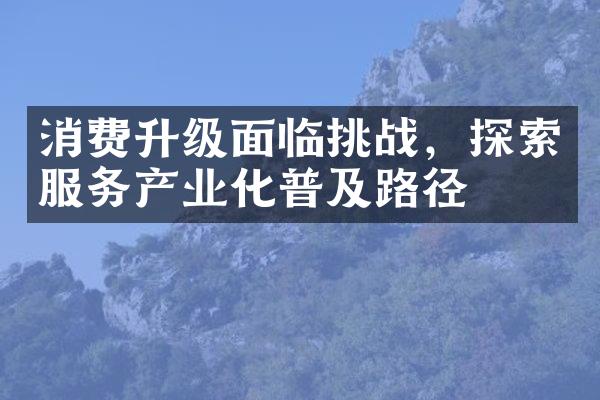 消费升级面临挑战，探索服务产业化普及路径