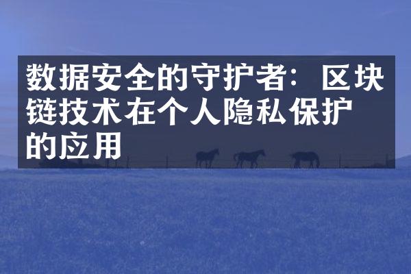 数据安全的守护者：区块链技术在个人隐私保护中的应用