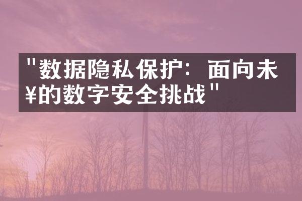 "数据隐私保护：面向未来的数字安全挑战"