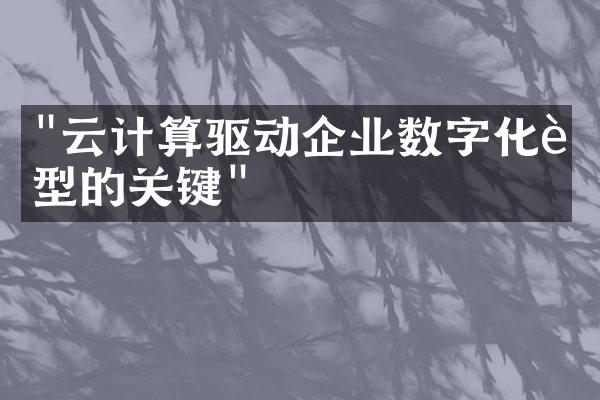 "云计算驱动企业数字化转型的关键"