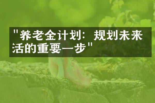 "养老金计划：规划未来生活的重要一步"