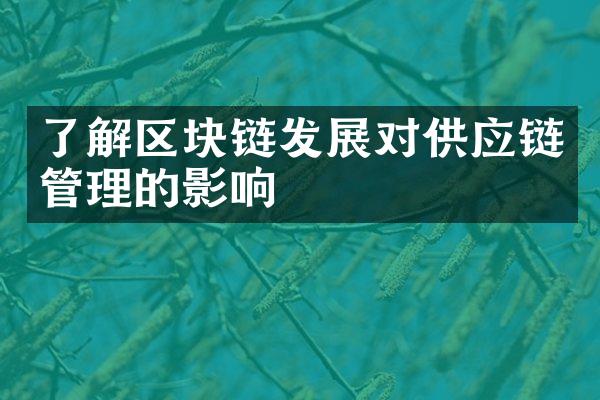 了解区块链发展对供应链管理的影响