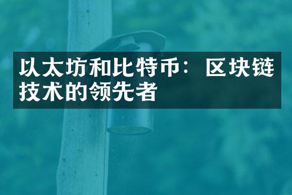 以太坊和比特币：区块链技术的领先者