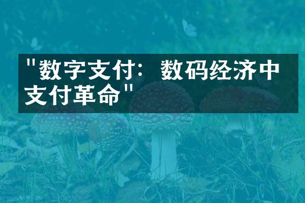 "数字支付：数码经济中的支付革命"