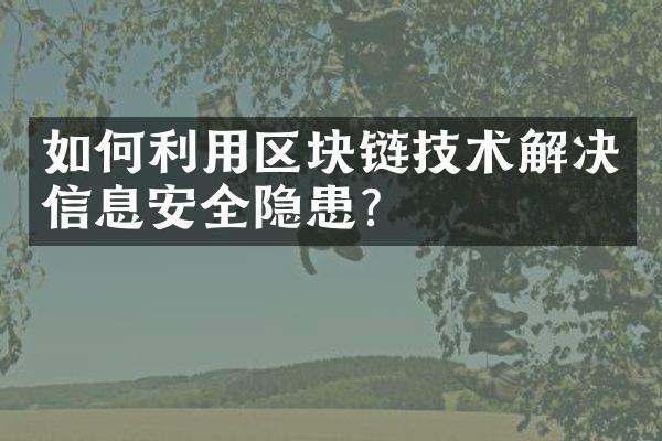 如何利用区块链技术解决信息安全隐患？