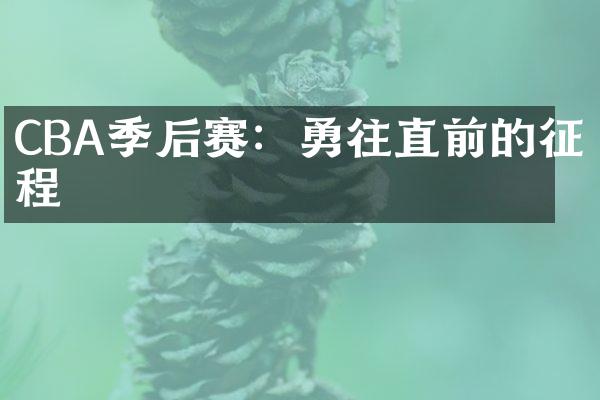 CBA季后赛：勇往直前的征程