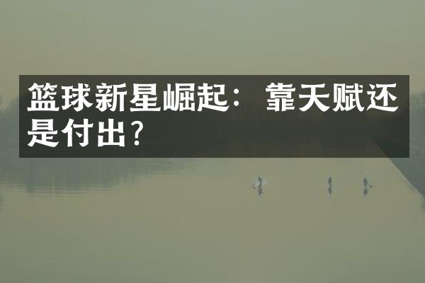 篮球新星崛起：靠天赋还是付出？