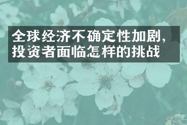 全球经济不确定性加剧，投资者面临怎样的挑战？