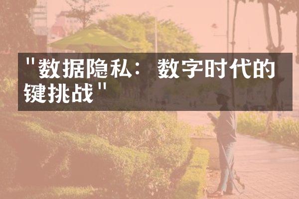 "数据隐私：数字时代的关键挑战"