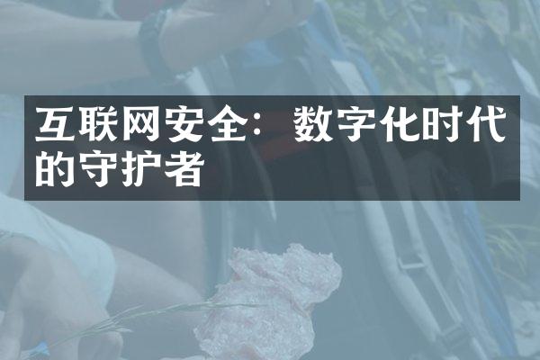 互联网安全：数字化时代的守护者