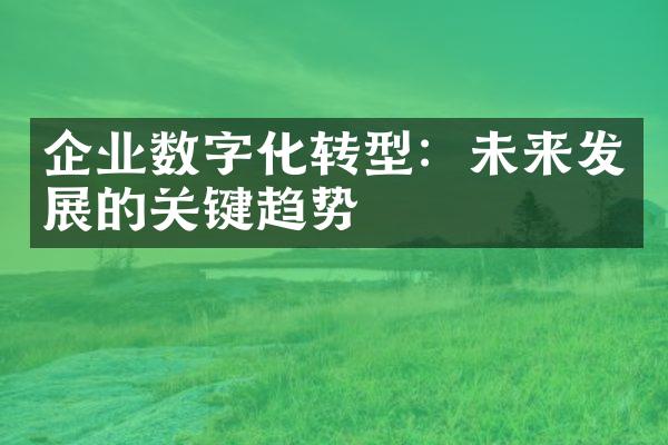 企业数字化转型：未来发展的关键趋势