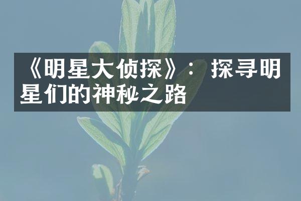 《明星大侦探》：探寻明星们的神秘之路