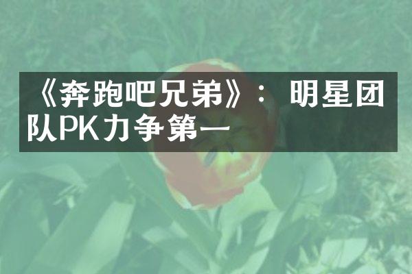 《奔跑吧兄弟》：明星团队PK力争第一