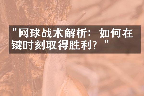 "网球战术解析：如何在关键时刻取得胜利？"