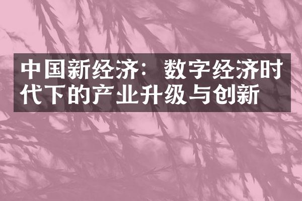 中国新经济：数字经济时代下的产业升级与创新