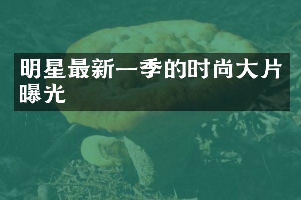 明星最新一季的时尚大片曝光