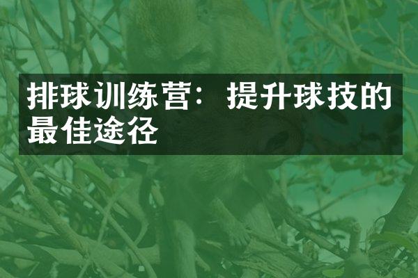 排球训练营：提升球技的最佳途径