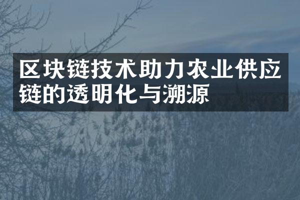 区块链技术助力农业供应链的透明化与溯源