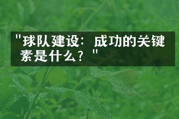 "球队建设：成功的关键因素是什么？"