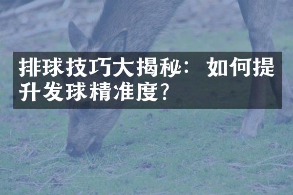 排球技巧大揭秘：如何提升发球精准度？