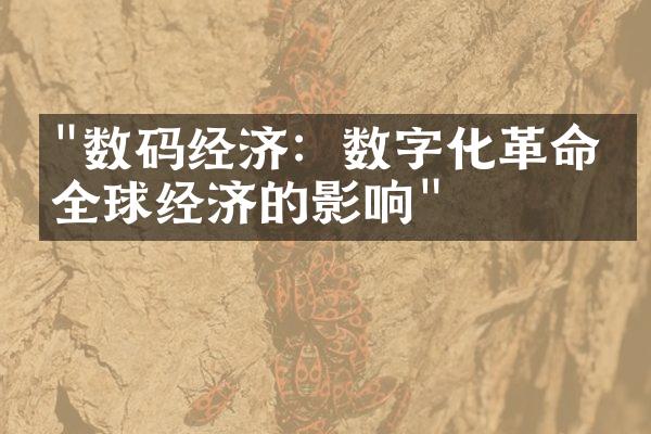 "数码经济：数字化革命对全球经济的影响"