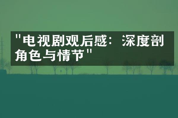 "电视剧观后感：深度剖析角色与情节"