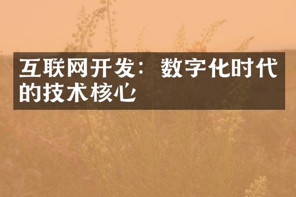 互联网开发：数字化时代的技术核心