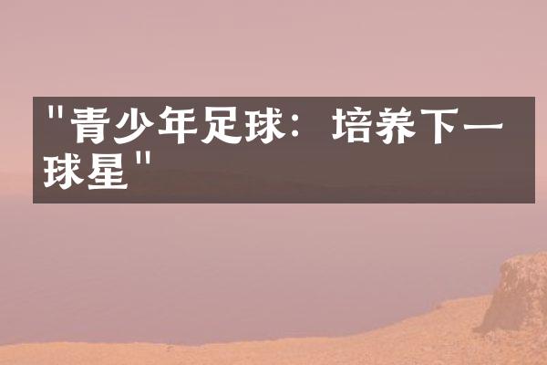 "青少年足球：培养下一代球星"