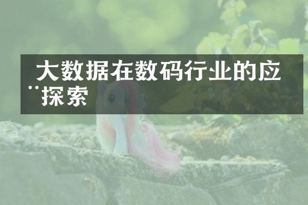  数据在数码行业的应用探索