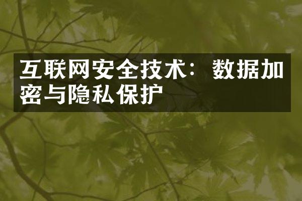 互联网安全技术：数据加密与隐私保护