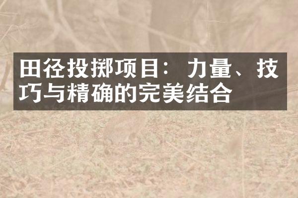 田径投掷项目：力量、技巧与精确的完美结合