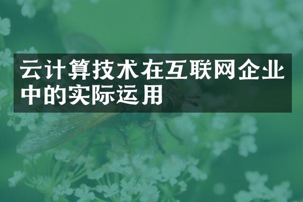 云计算技术在互联网企业中的实际运用