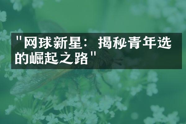 "网球新星：揭秘青年选手的崛起之路"