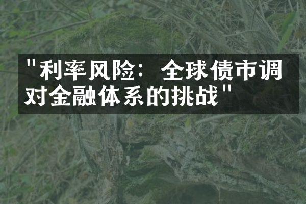 "利率风险：全球债市调整对金融体系的挑战"