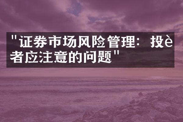 "证券市场风险管理：投资者应注意的问题"