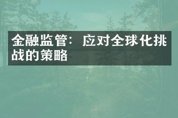 金融监管：应对全球化挑战的策略