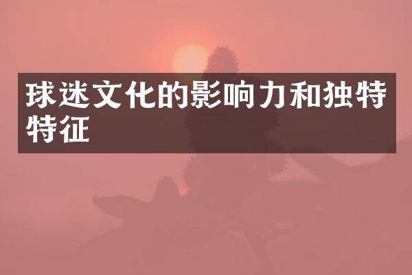 球迷文化的影响力和独特特征