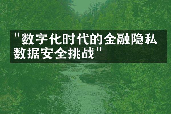 "数字化时代的金融隐私与数据安全挑战"