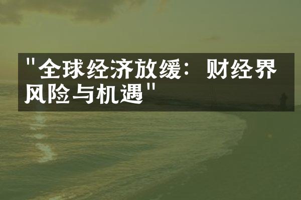 "全球经济放缓：财经界的风险与机遇"