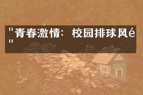 "青春激情：校园排球风采"