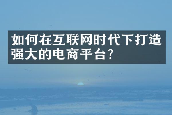 如何在互联网时代下打造强大的电商平台？