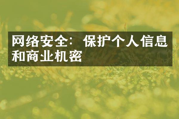 网络安全：保护个人信息和商业机密