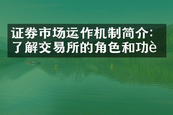 证券市场运作机制简介：了解交易所的角色和功能