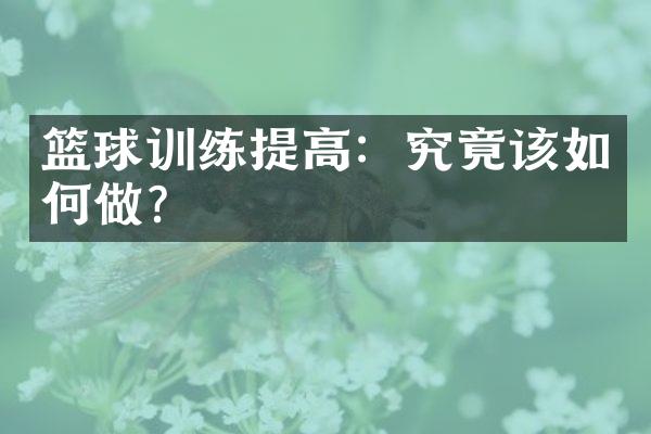 篮球训练提高：究竟该如何做？