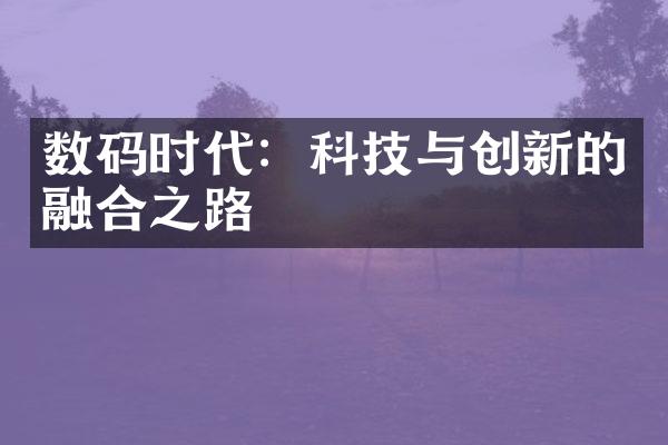 数码时代：科技与创新的融合之路