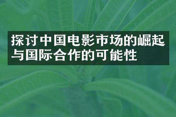 探讨电影市场的崛起与国际合作的可能性