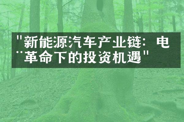 "新能源汽车产业链：电动革命下的投资机遇"