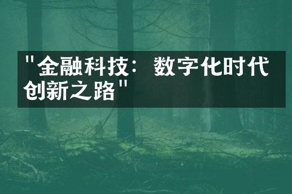 "金融科技：数字化时代的创新之路"