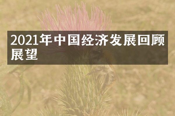 2021年中国经济发展回顾与展望